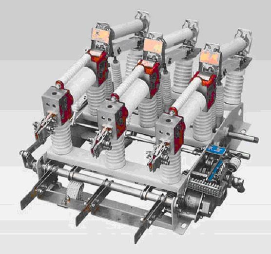 FZN21-12D/630-20戶內(nèi)交流高壓真空負(fù)荷開(kāi)關(guān)